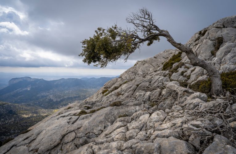 Boston: The Importance of Resilience in Overcoming Trauma