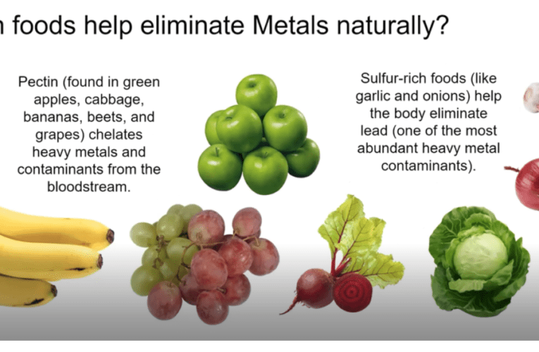 Eliminate Heavy Metals Naturally in Boston